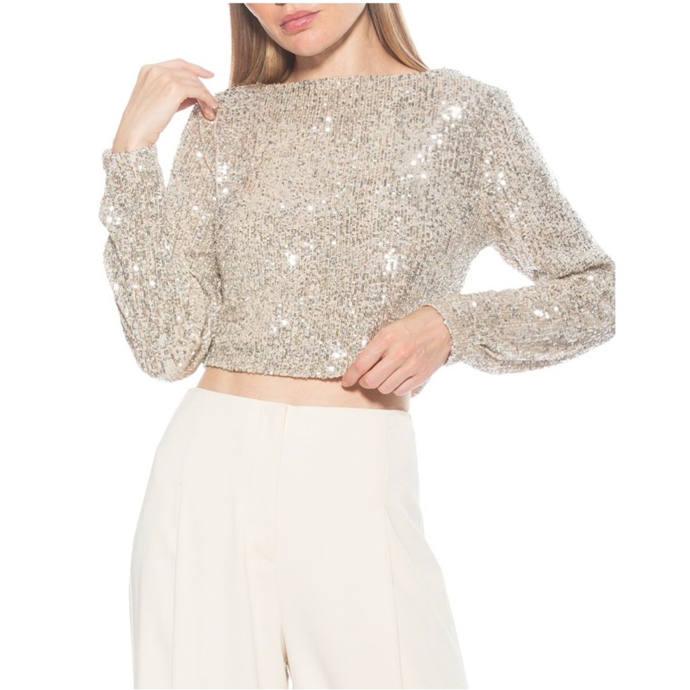 Alexia Admor Blake Sequin Crop Boat Neck Long Sleeve Top Sz S Silver New w/Tags